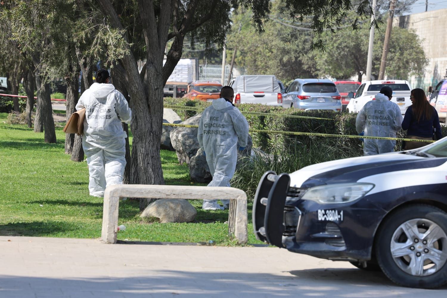 Abandonan feto en áreas verdes de Otay Noticias de Tijuana El Imparcial