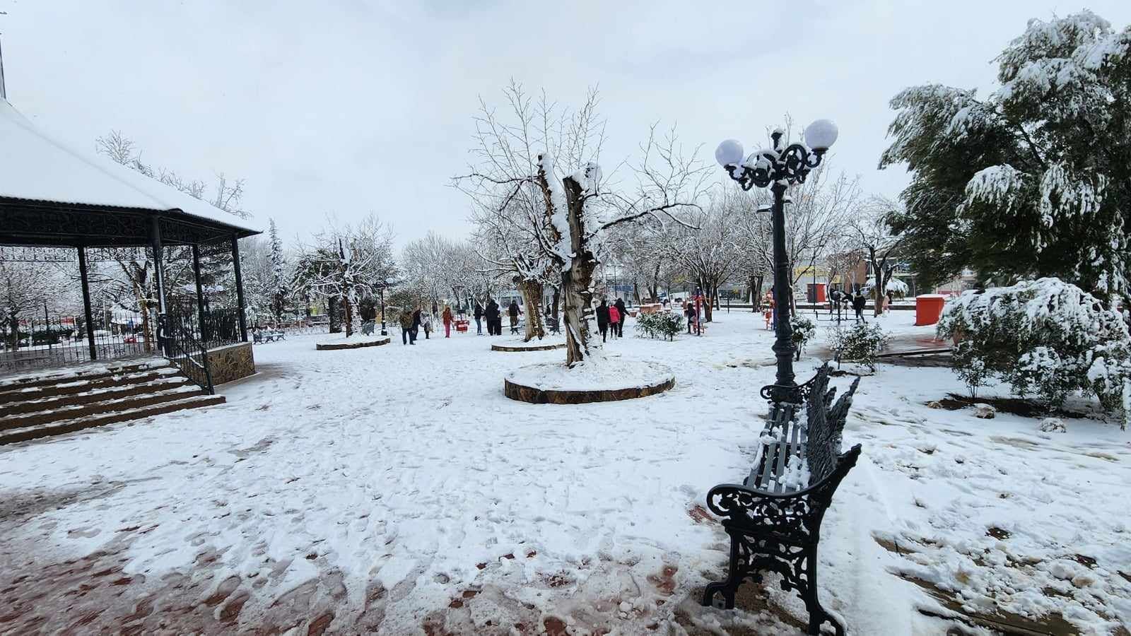 Con el desplazamiento de la Séptima Tormenta Invernal y el Frente Frío 34 por el norte de Sonora, ciudades como Nogales, Agua Prieta, Cananea y Nacozari amanecieron con nieve y los acumulamientos han provocado cierre de carreteras.