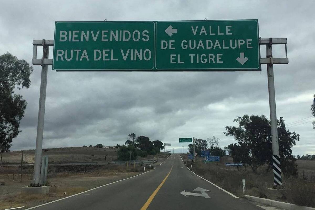 Ruta del vino atrae turismo al Valle de Guadalupe