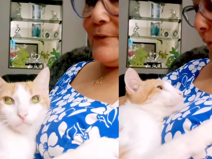 Una señora se viraliza por cantarle a su gato ciego mientras este se deja arrullar por ella
