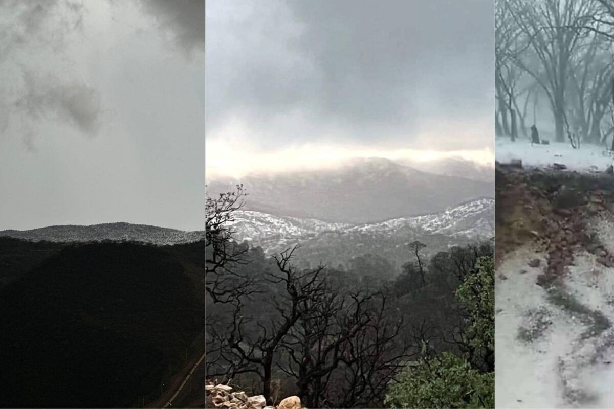 Sahuaripa: Las imágenes de la granizada que cubrió de blanco la sierra Matarachi