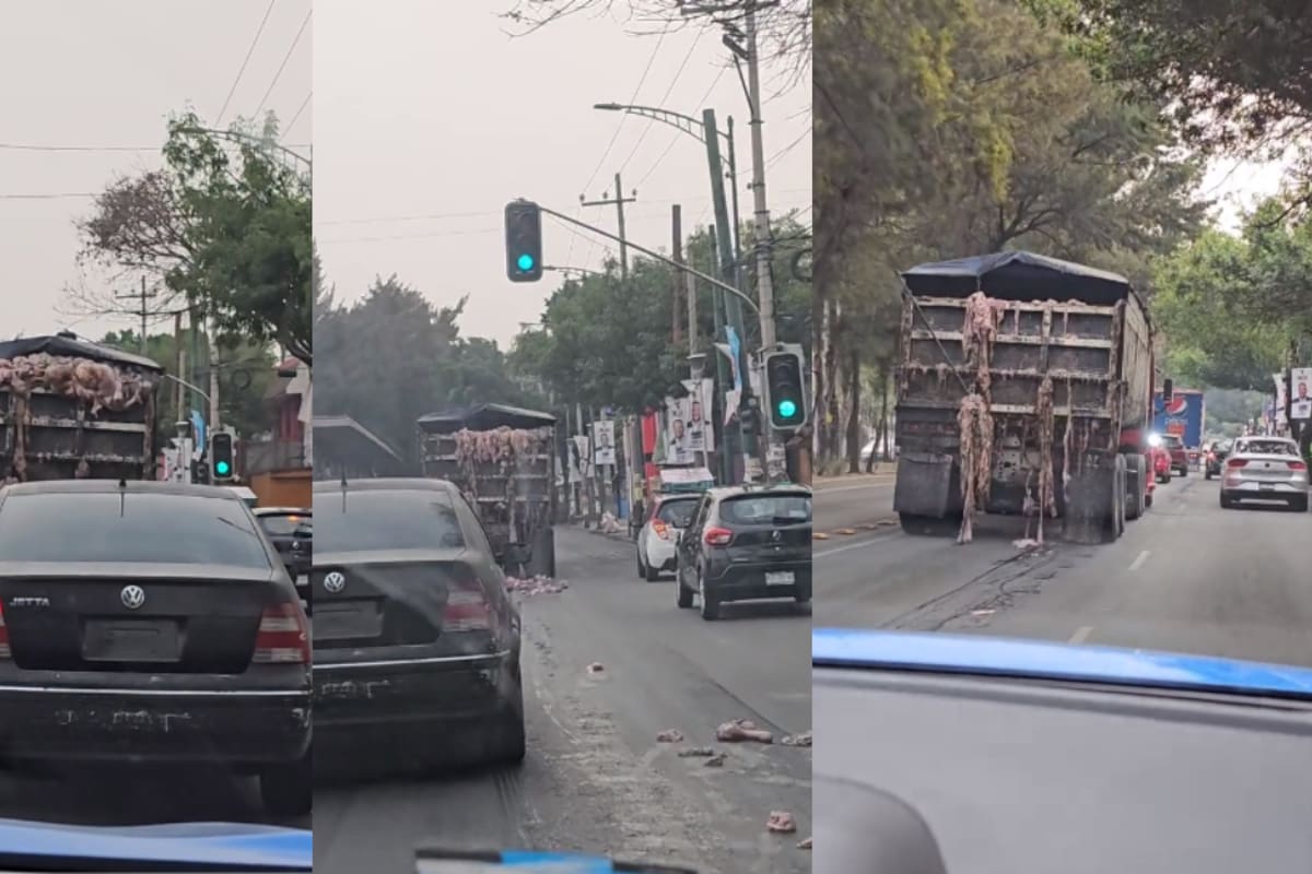 VIRAL: captan a camión tirando desechos de animales en las calles de CDMX