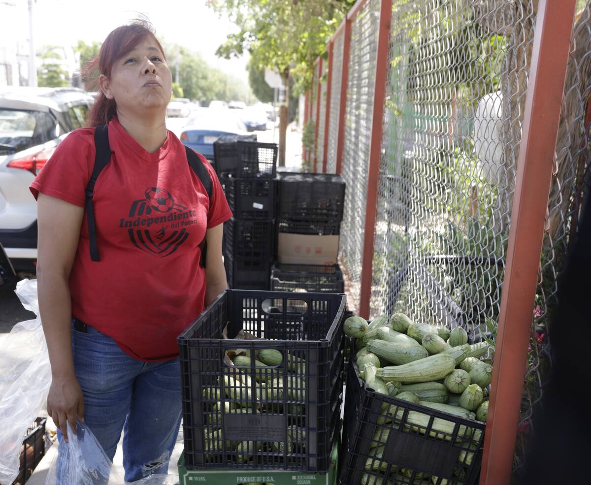 Cristina Escobedo elige las verduras que llevó el Banco de Alimentos al parque de la colonia Lomas de Madrid.