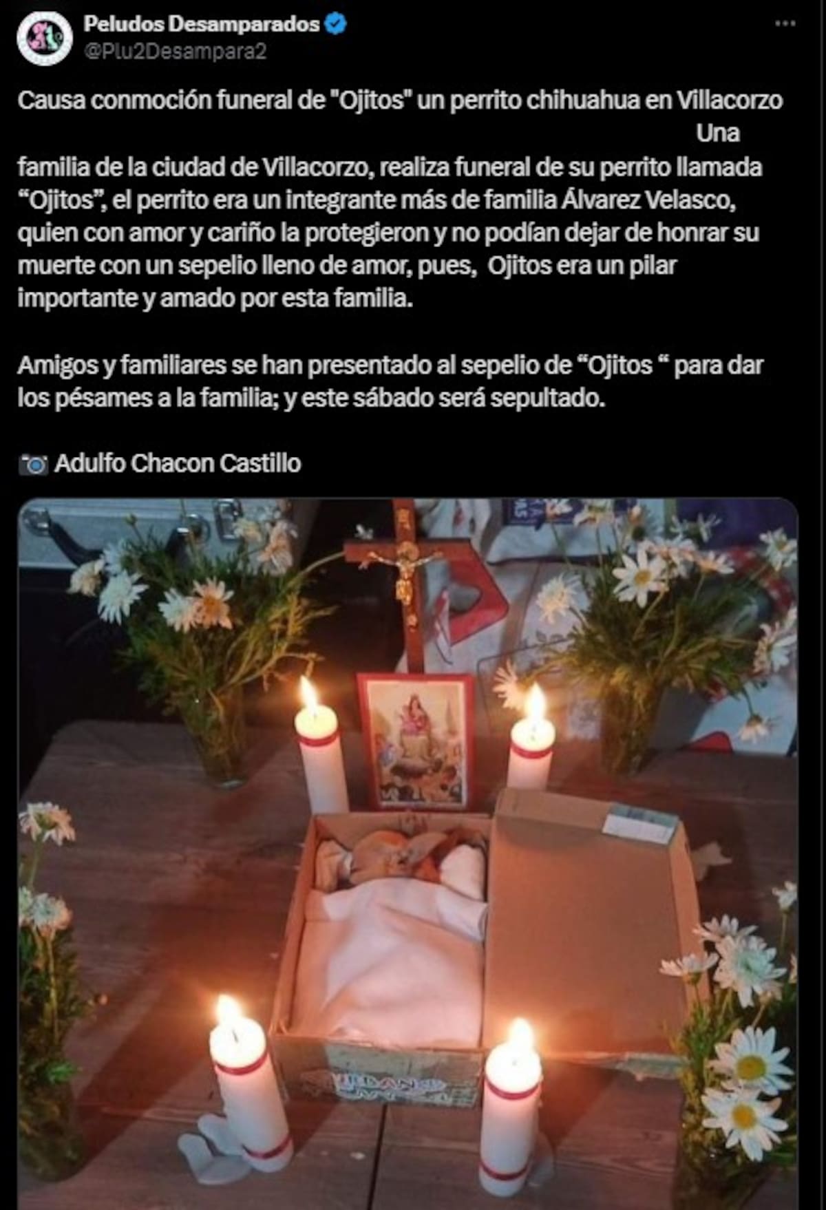 Redes sociales se llenan de mensajes de apoyo y experiencias similares tras el funeral de 'Ojitos' (Captura de pantalla/X)