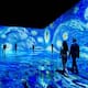 Van Gogh llega a México con experiencia de realidad virtual