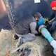Vandalismo de tuberías provoca fugas de agua: Cespt