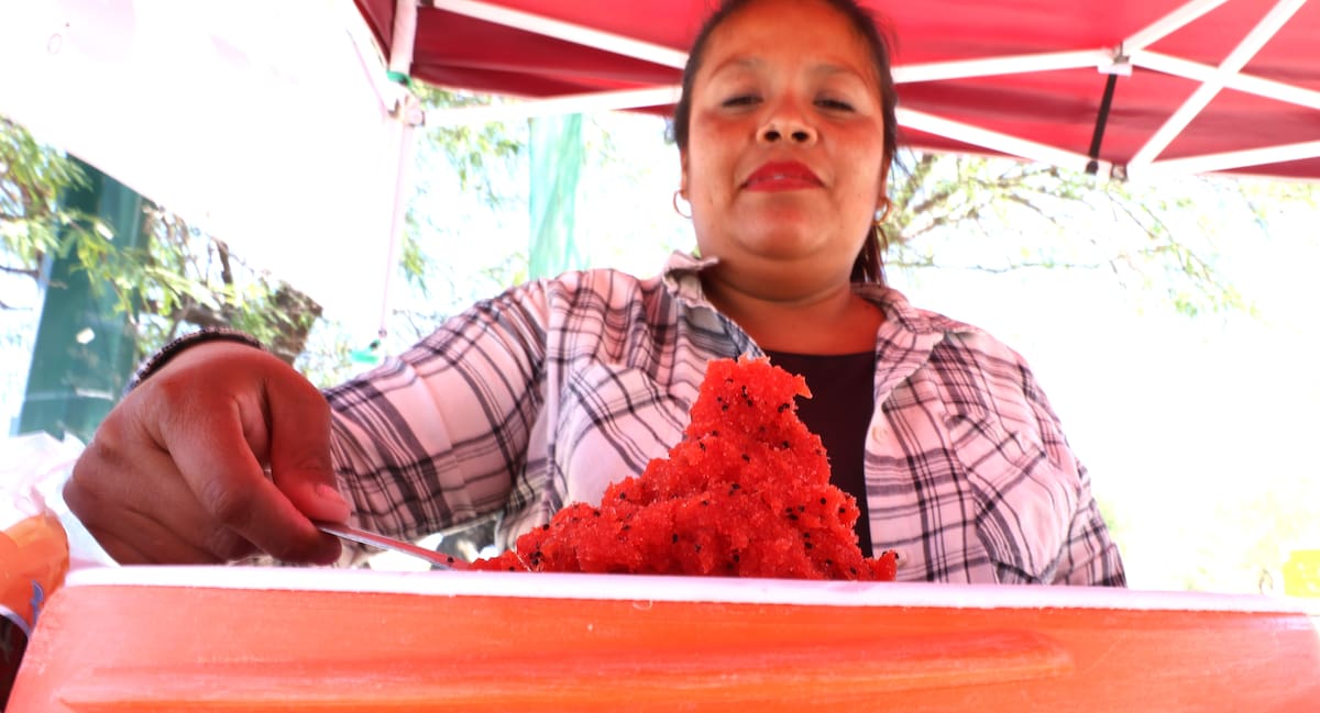 Mariela Guadalupe Cota Amarillas tiene la venta de nieve de pitaya, en Morelos y Juan Bautista Escalante, al Norte de la ciudad. FOTO: TEODORO BORBÓN