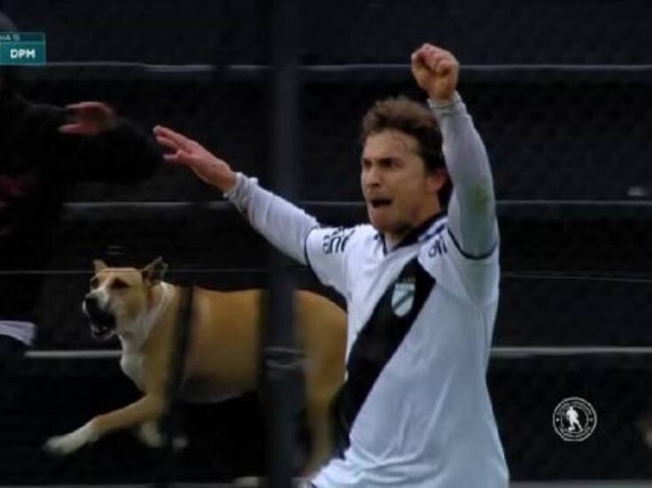 VIDEO: Perro festeja gol en estadio de la liga uruguaya y se vuelve viral