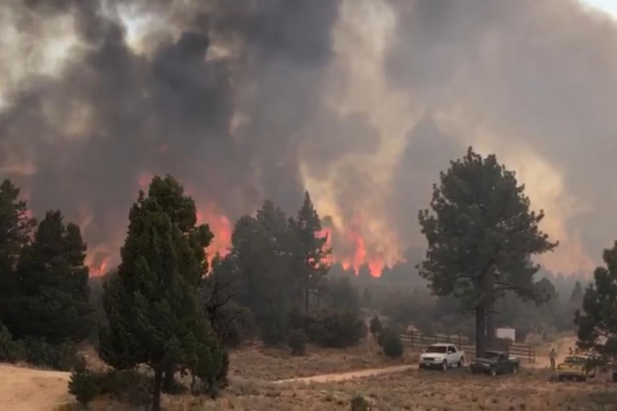   Brigadistas continúan combatiendo incendio forestal en sierra de Juárez  
