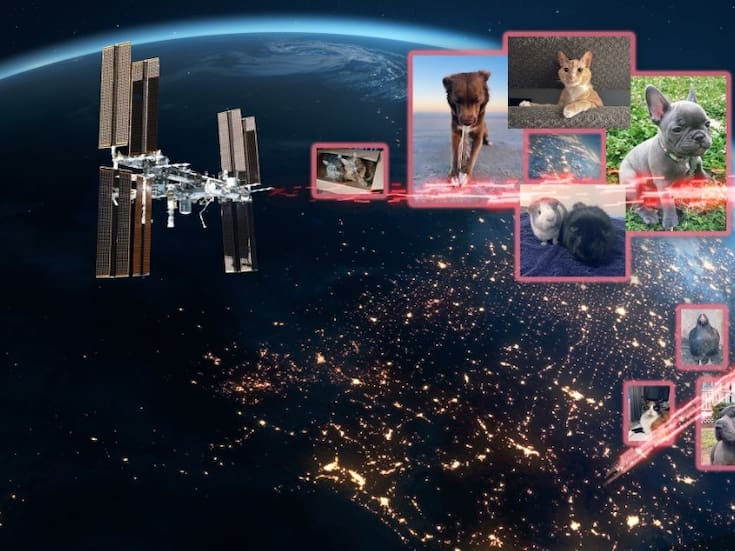 El sistema de retransmisión láser de la NASA envía imágenes de mascotas a la Estación Espacial Internacional