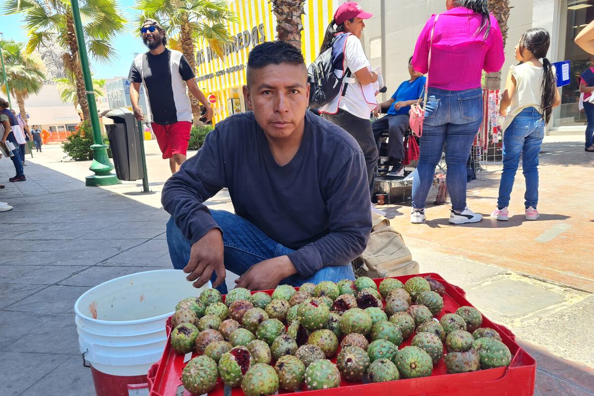 ¿Por qué piden a los vendedores de pitayas irse del Centro de Hermosillo?
