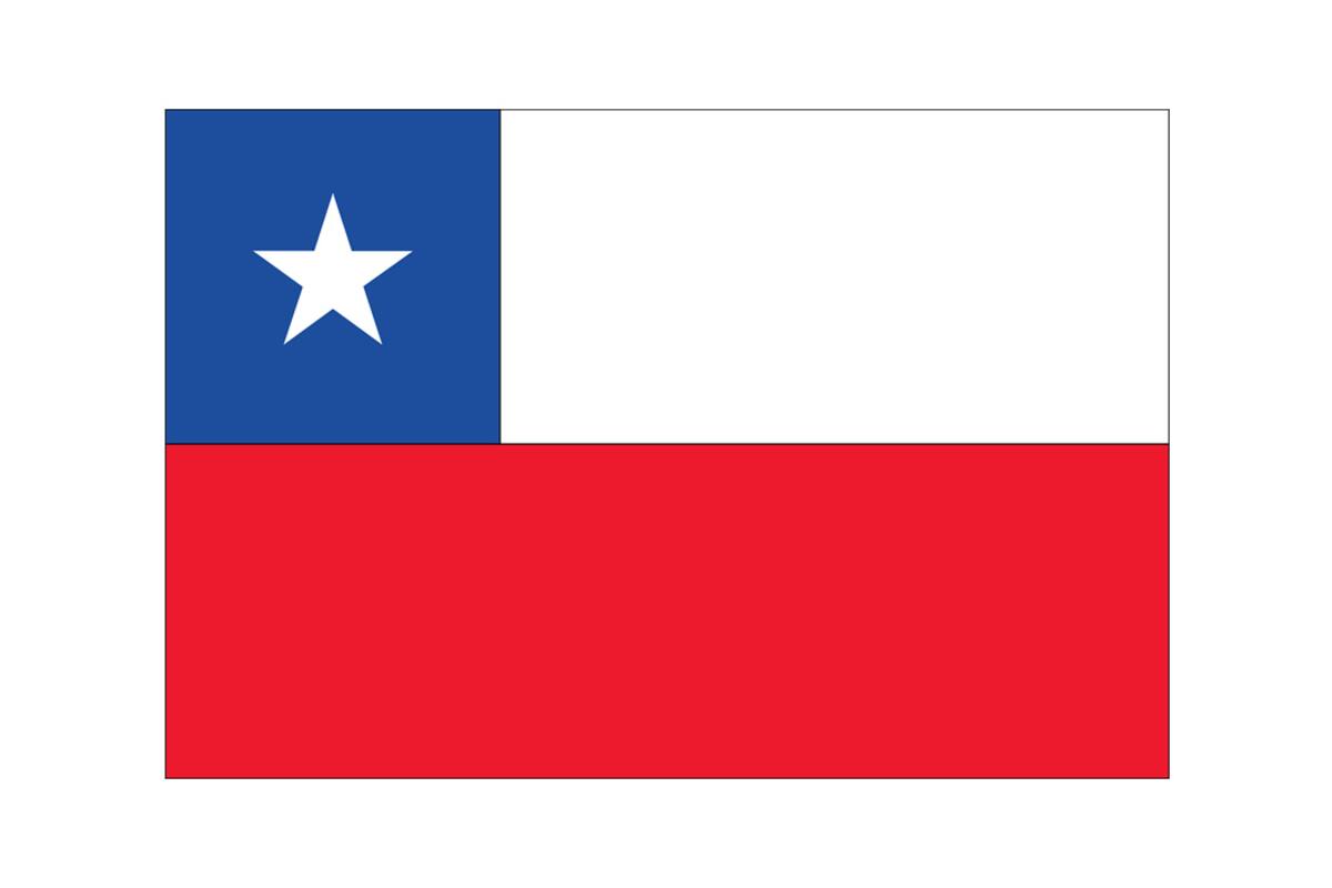 ¿Hasta dónde está destinado a llegar Chile en la Copa América 2024?