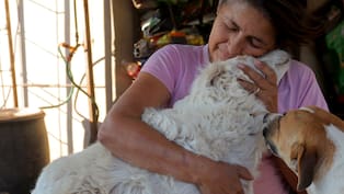 "Que me recuerden como la loca de los perros": Dámaris Acosta