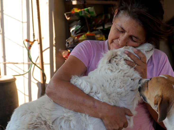 VIDEO | “Que me recuerden como la loca de los perros”: Dámaris Acosta