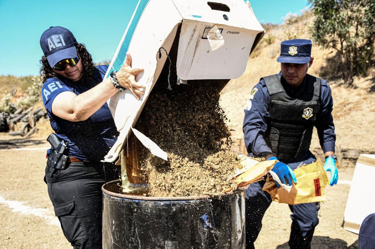 Los narcóticos fueron asegurados en 4 mil 283 expedientes de los municipios de Tijuana, Mexicali, Ensenada y Playas de Rosarito.