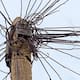 Hombre muere electrocutado al podar un árbol en Sinaloa