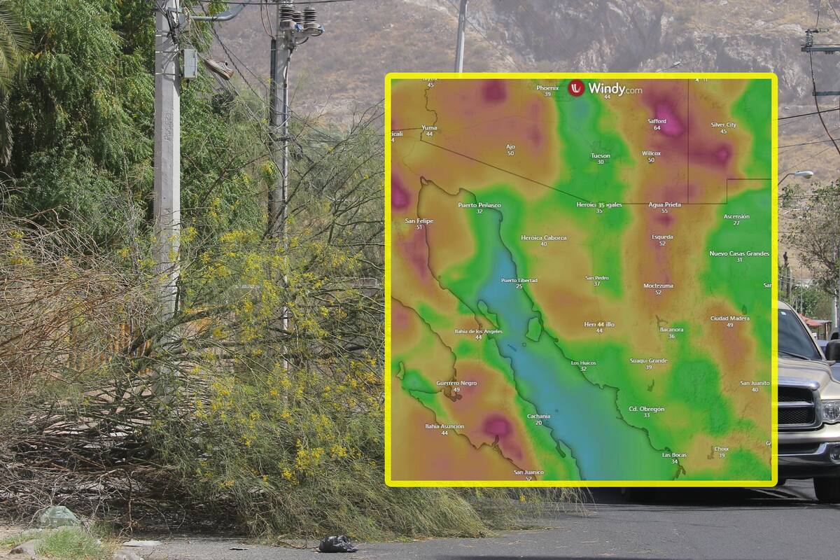 Se esperan vientos significativos para la tarde/noche de hoy en Sonora: Protección Civil