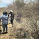 Madres Buscadoras encuentran restos humanos en Pesqueira 