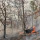 Espera Protección Civil Sonora sofocar en 2 días el incendio forestal de Yécora