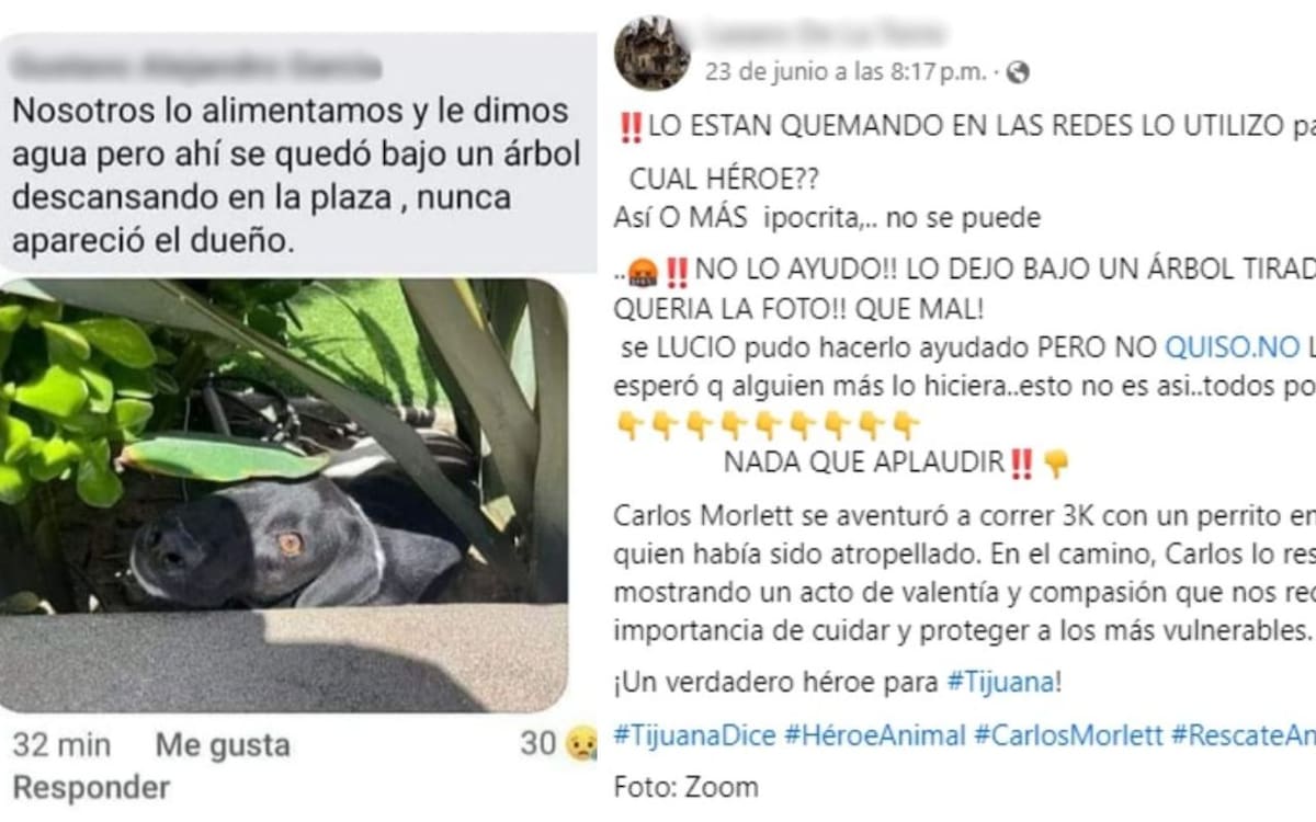 Capturas de pantalla tomadas de Facebook que evidencian el descontento que usuarios han tomado hacia el acto del perrito atropellado en Tijuana (Facebook)