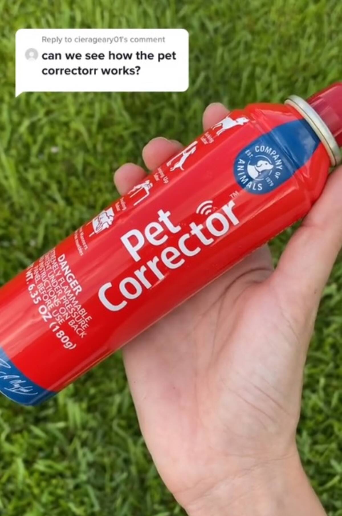 Pet Corrector.