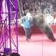 VIDEO: Oso ataca a presentador de circo en plena función ante niños