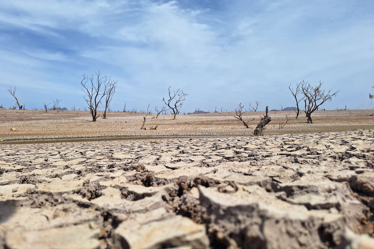 Le ‘pega’ la sequía a comunidades y colonias de Álamos