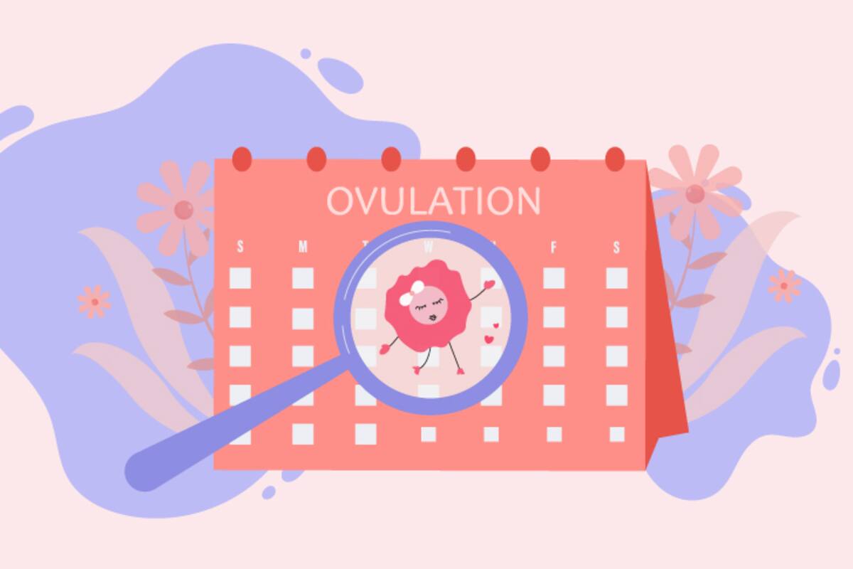 ¿Qué sucede en el cuerpo de la mujer durante los días de ovulación?
