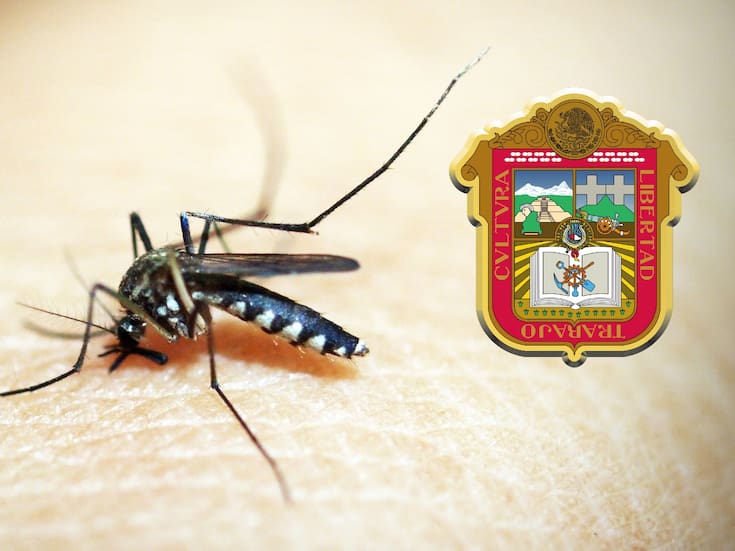 Aumento del dengue en el Estado de México