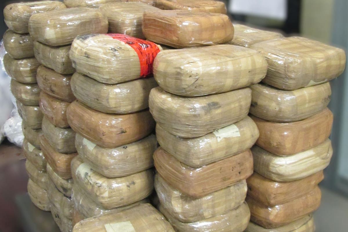 Más de 3 toneladas de cocaína fueron incineradas en Baja California Sur