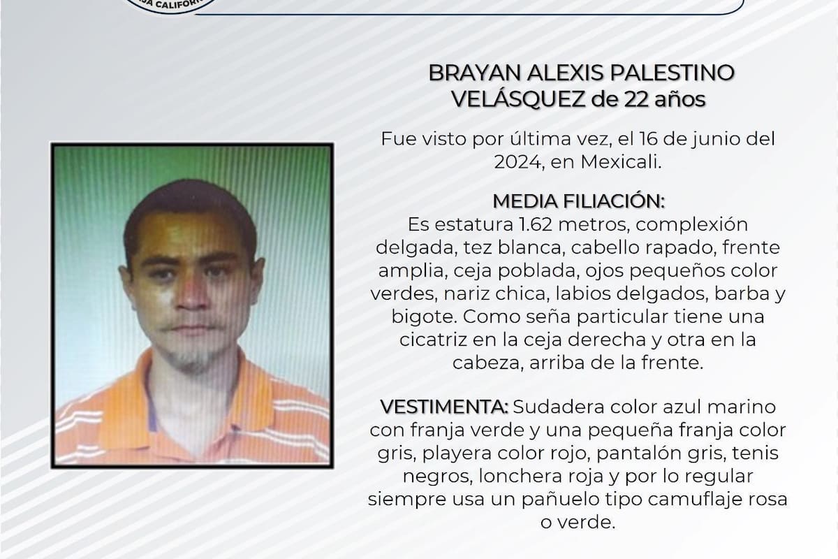 Pesquisa de Brayan Alexis Palestino Velásquez