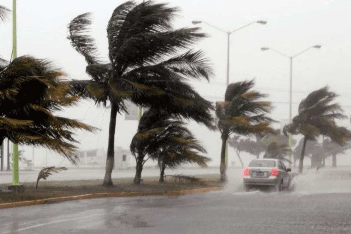 Efectos del Huracán Hilary llegan a Isla de Cedros; Ensenada se prevé sea en la madrugada