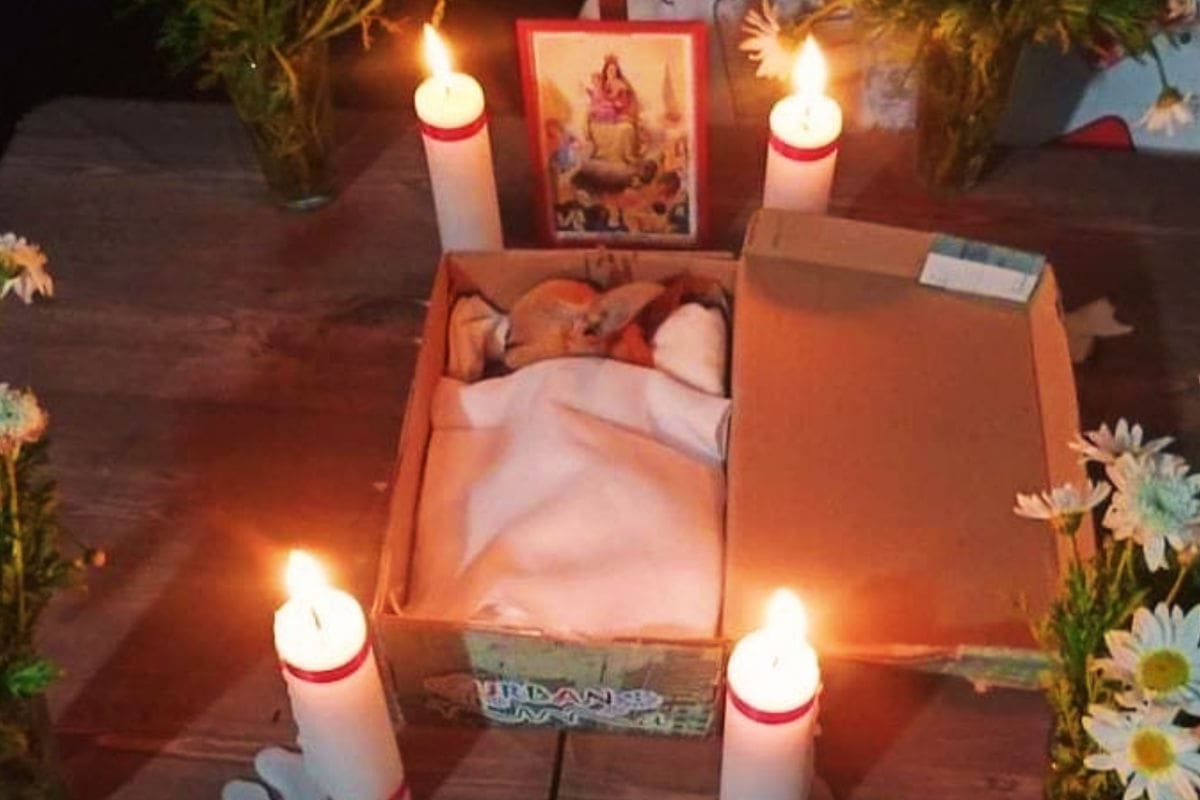 Funeral de ‘Ojitos’, perrito chihuahua de Chiapas, se viraliza en redes