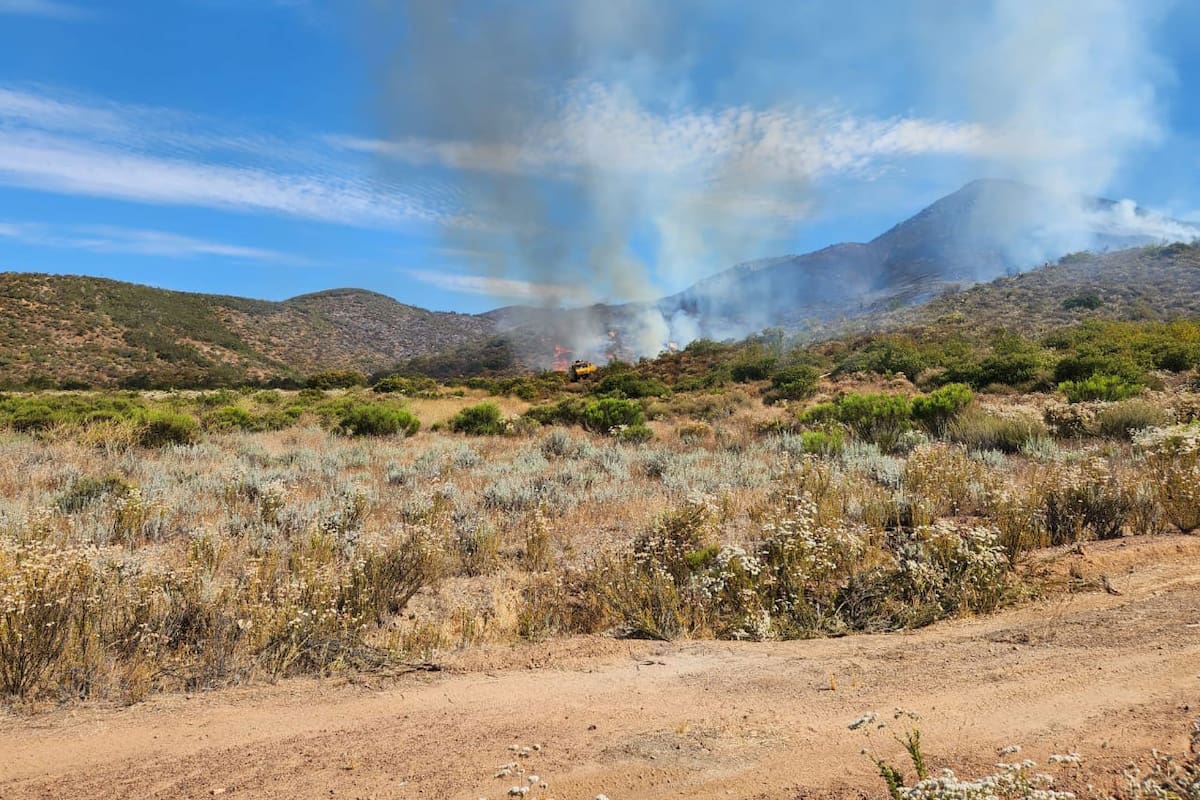 Incendios en Valle de Guadalupe: Preocupa afectación a viñedos
