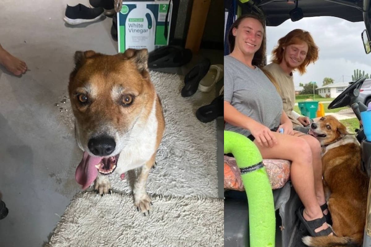 Perro de Florida reunido con su familia tras ser separados durante el paso del huracán Idalia