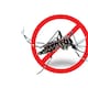 Investigadores de Yucatán y EU: Estrategias contra mosquitos transmisores