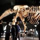 Esqueleto de dinosaurio es subastado en Nueva York