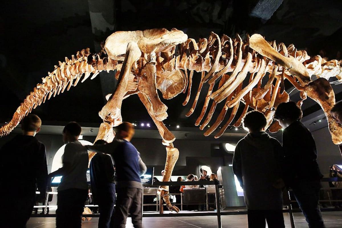 Esqueleto de dinosaurio es subastado en Nueva York