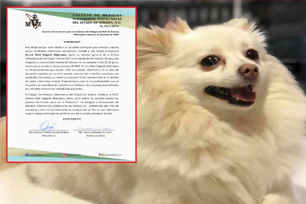 Muerte de perrita Channel en Hermosillo: Así va el caso contra la veterinaria