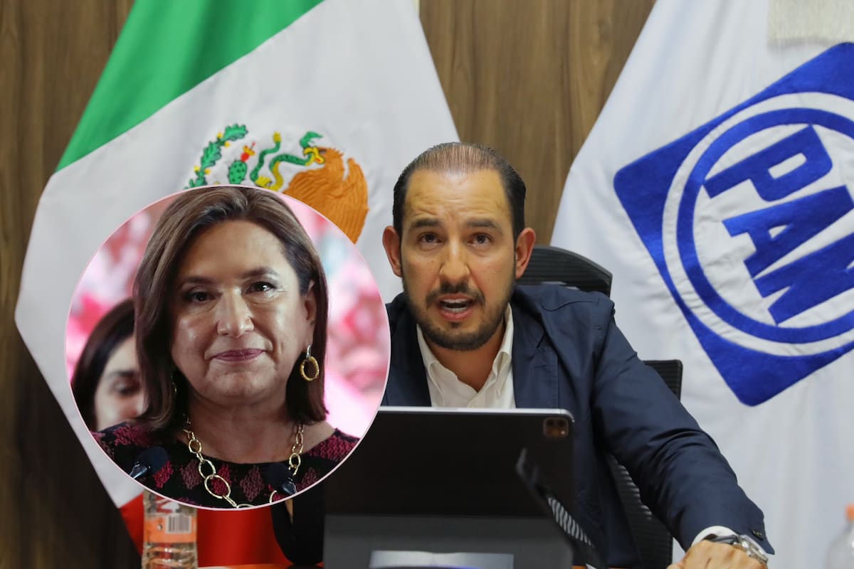 Marko Cortés niega haber gritado a Xóchitl Gálvez cuando felicitó a Sheinbaum: Hablo “claro, fuerte y asertivo”, dice
