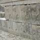 Nueva especie de liquen amenaza monumentos de Persépolis