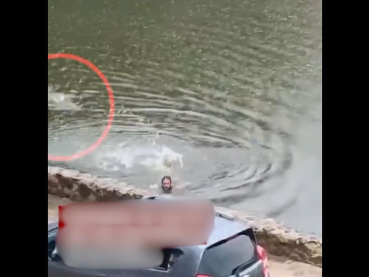 VIDEO: Hombre se mete a nadar con cocodrilos hambrientos en Laguna de las Ilusiones, México