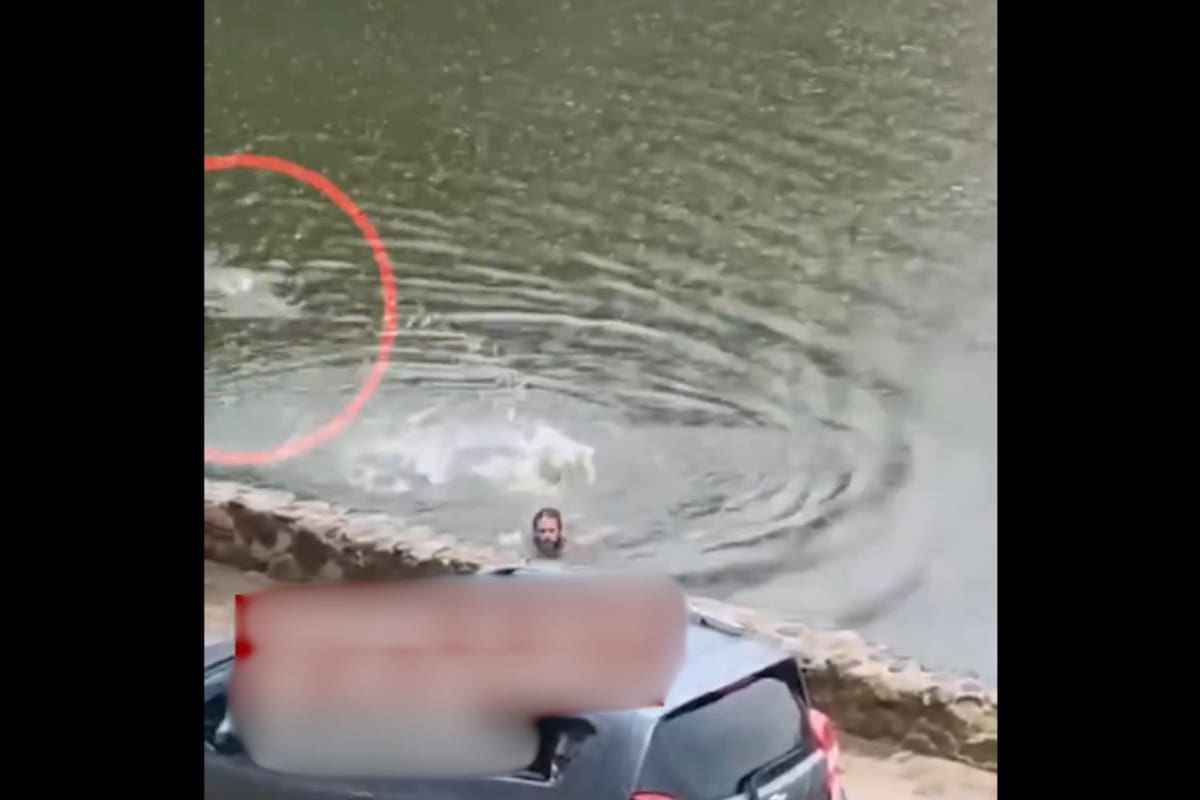 VIDEO: Hombre se mete a nadar con cocodrilos hambrientos en Laguna de las Ilusiones, México