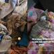 Joven rescata a gatito con grave herida en la cabeza y conmueve a miles en TikTok | VIDEO