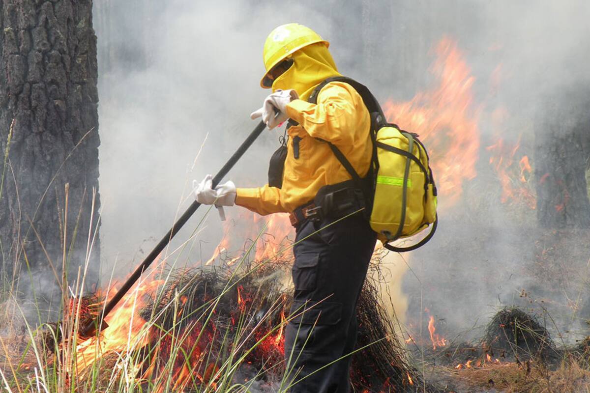 Aumentan 24% incendios forestales en Tijuana