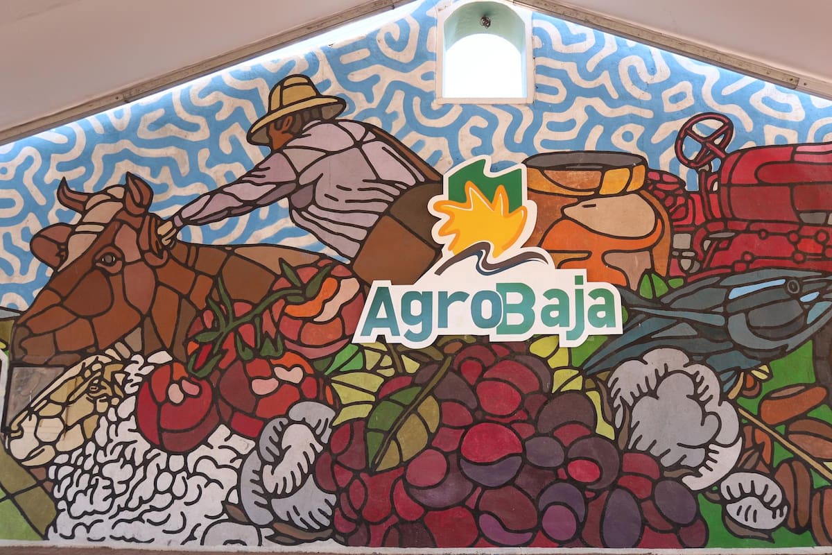 Esperan gran ocupación hotelera por Agrobaja: Cotuco