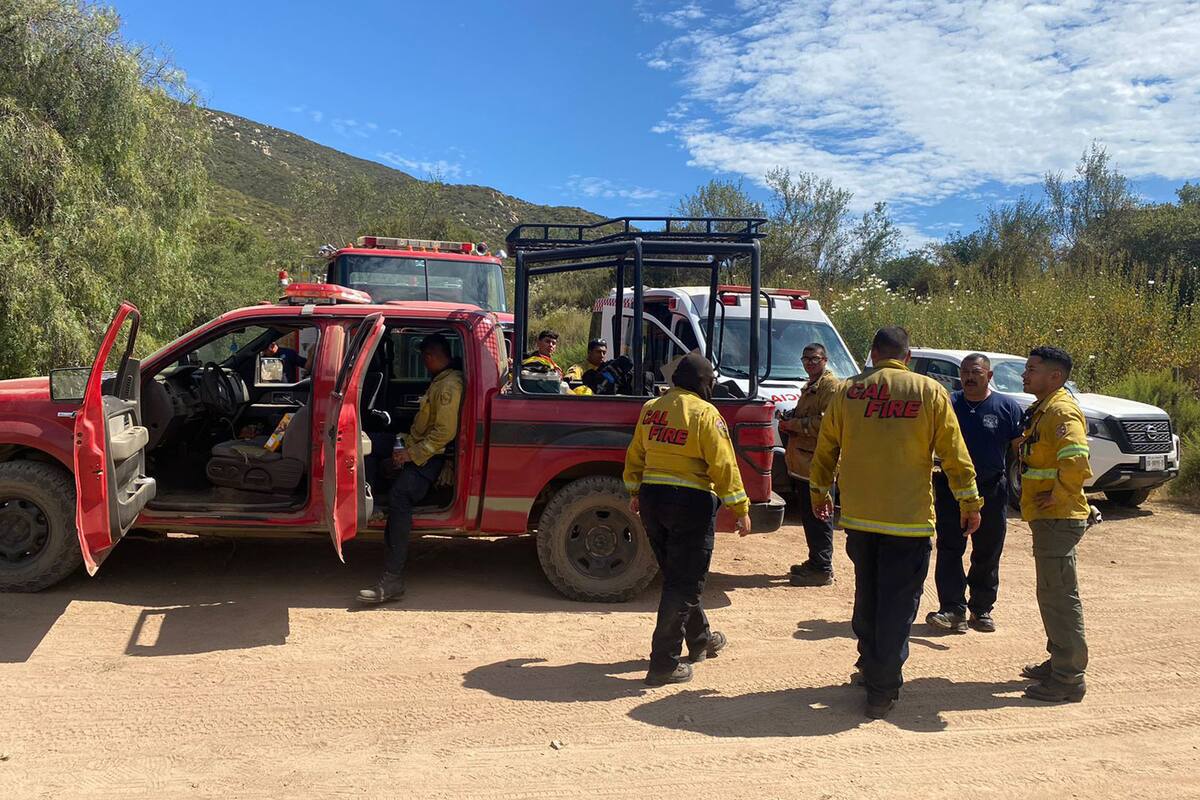 Incendio en Valle de Guadalupe está 85% controlado: Bomberos Ensenada