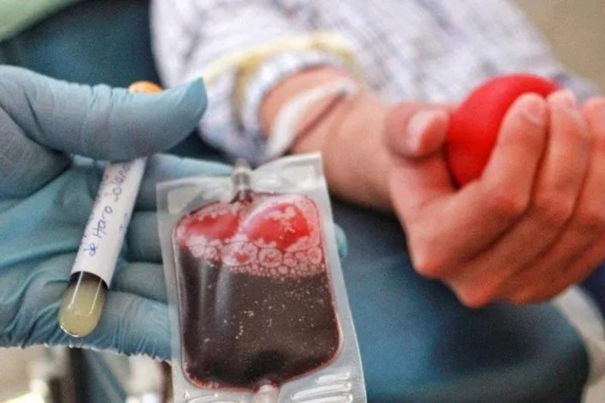 Solo 4% de las donaciones de sangre pertenecen a voluntarios