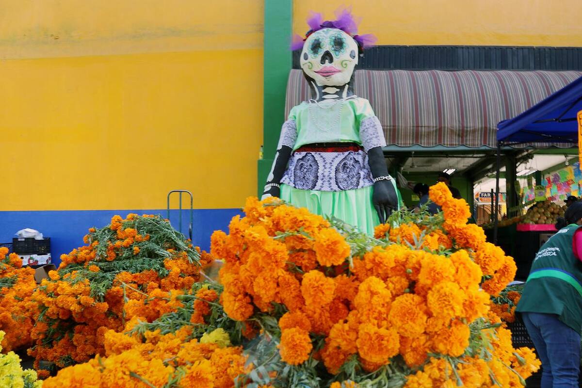 Aumentan ventas 35% por Halloween y Día de Muertos: Canaco