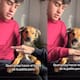 VIDEO: intentan hacer una famosa tendencia con su perra, pero ella los termina mordiendo